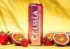 Celsius can with strawberries and passionfruit on a bright background.